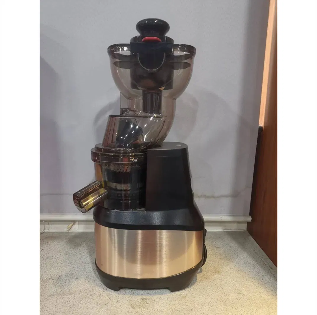 Top Quality Fancy 250W Slow Juicer with AC Motor 35rpm Low Noise