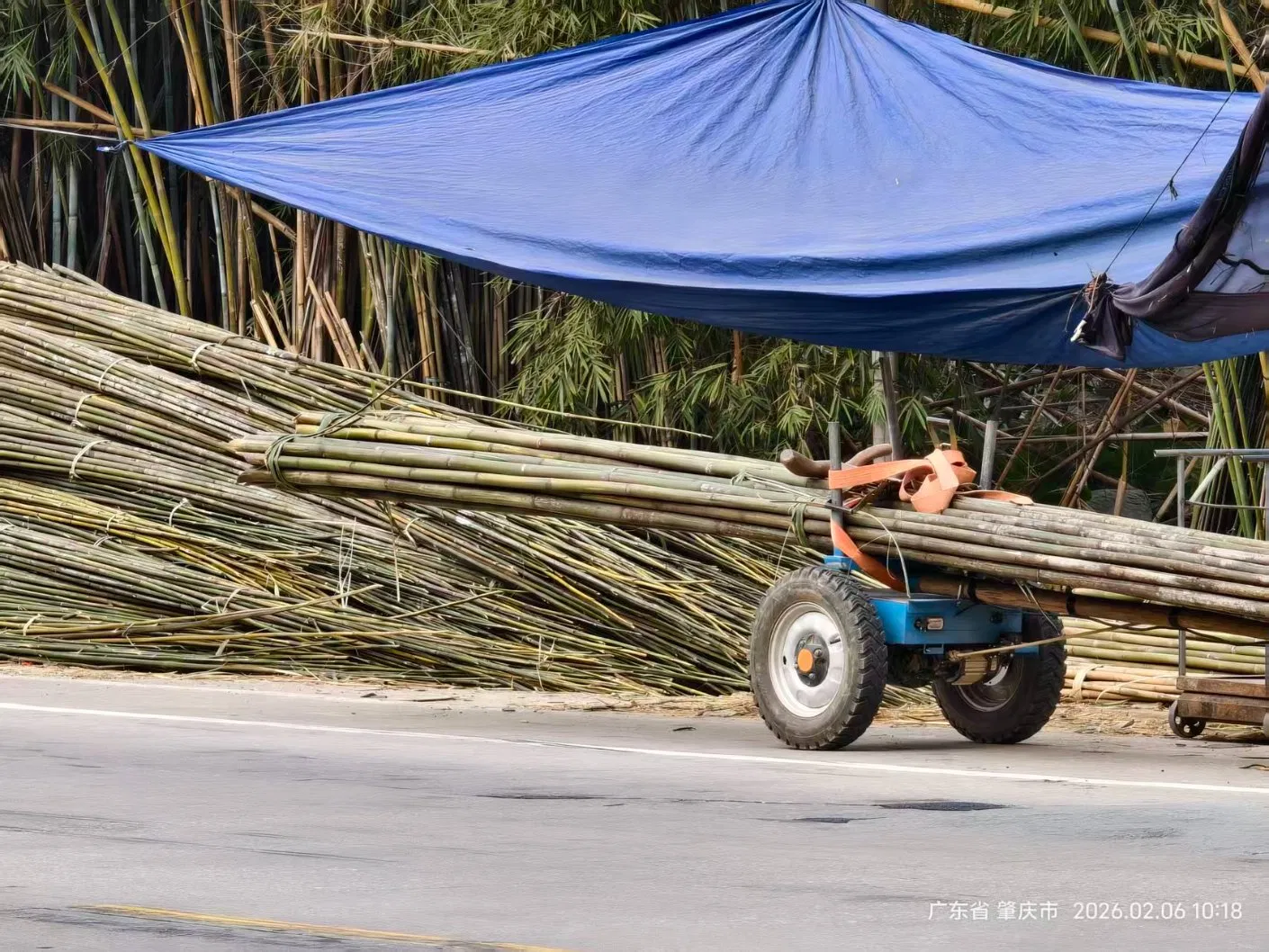 BBQ Bamboo Stick Flower Stick