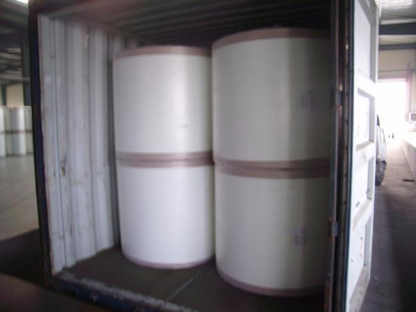 Fiberglass Roofing Veils 50GSM/30GSM S-RM