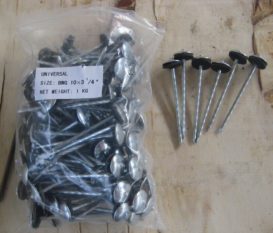 Umbrella Head Twist Shank Galvanized Roofing Nail with Washer (BWG10*2")