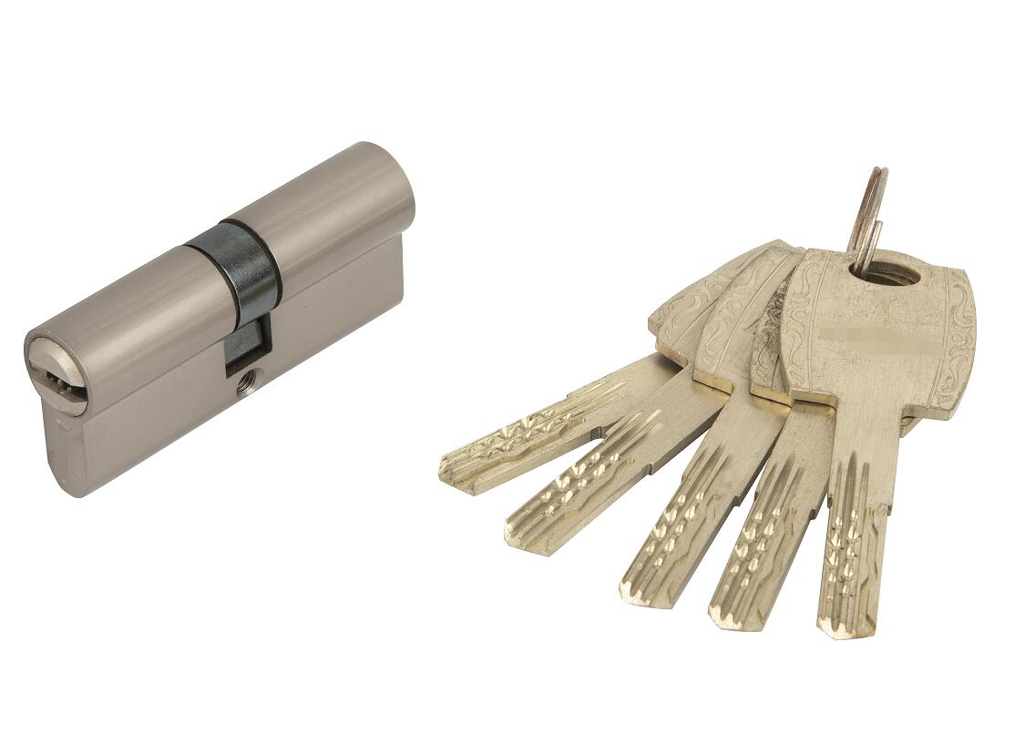 Double Pins Pure Brass High Security Lock Key Cylinder with Snake Keys