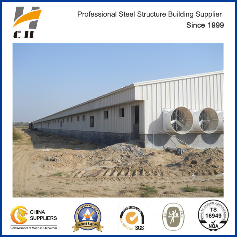 One-Stop Steel Structure Poultry Chicken House