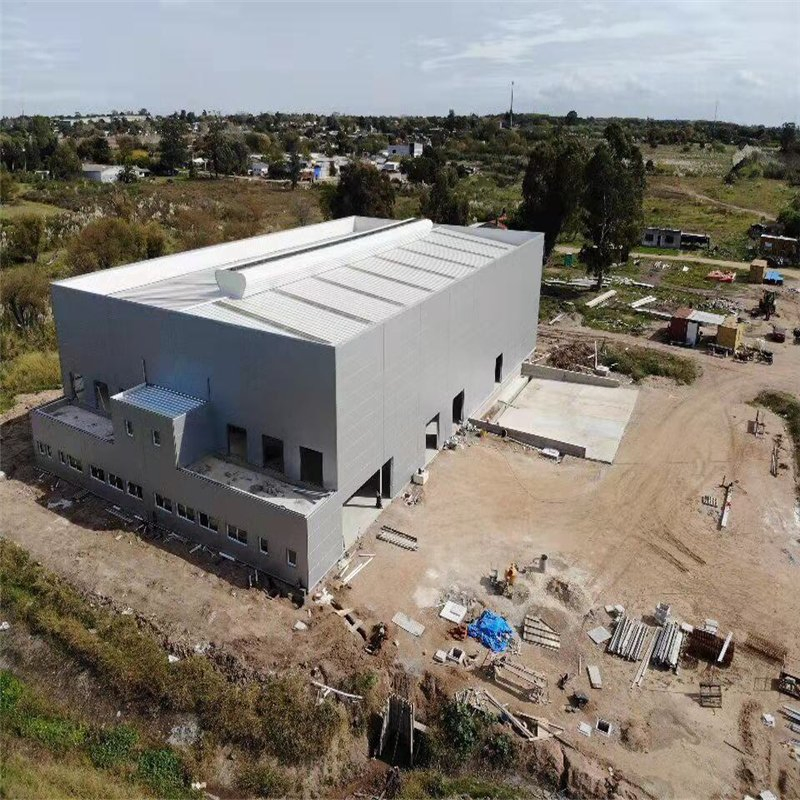 2022 Wholesale Price Structural Steel Building Materials for Cattle Sheds