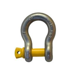 Forged Us Type G209 Bow Shackle with Screw Pin
