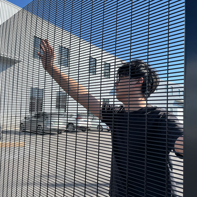 China Factory Supply Black Color Welded Wire 358 Anti Climb Security Mesh Fencing