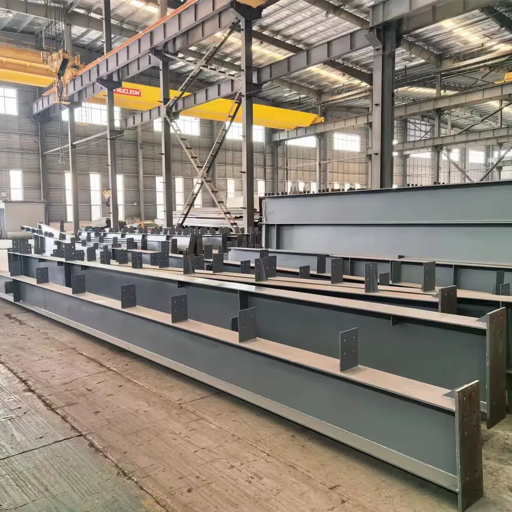 Durable Quality Assured Commercial Steel Structure Storage Buildings