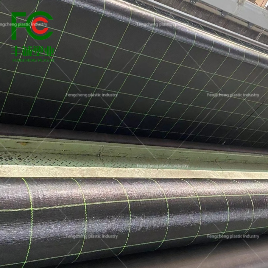 PE Geotextile Weed Mat: Ideal Weed Barrier for Long-Term Protection
