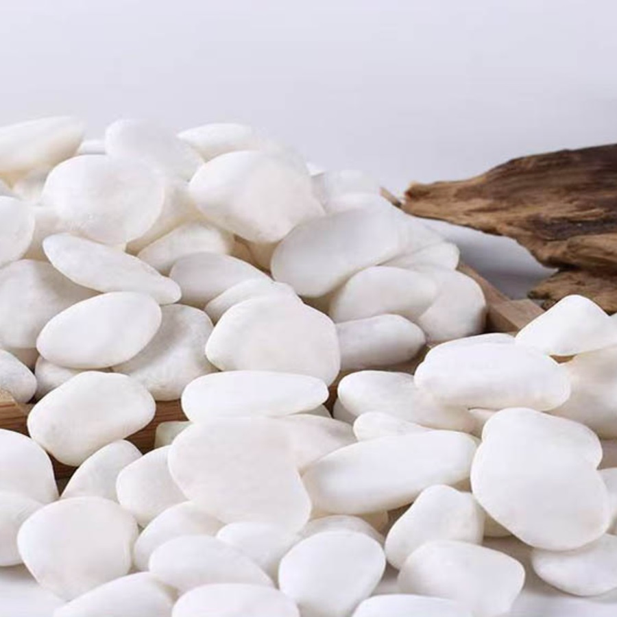 White Pebbles for Plants Garden Vases White Rocks Gravel Decorative Stone
