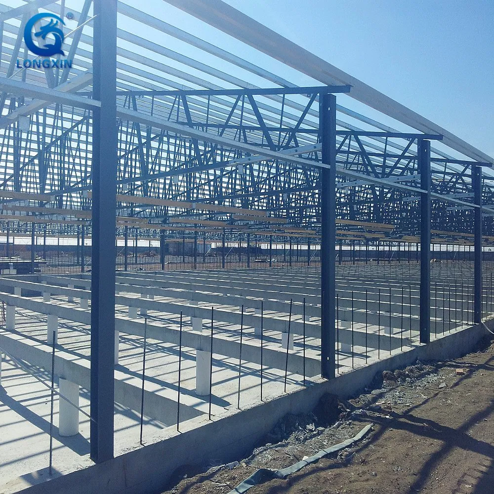 Prefabricated Steel Structure Pig House Farm Pig Farrowing Crate Piggery Shed Design for 100 Pigs