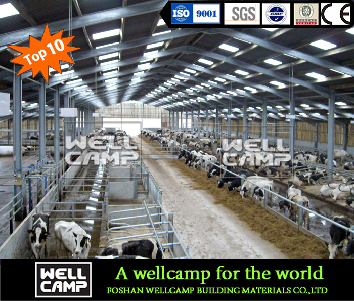 High Quality Customized Steel Structure Cowshed