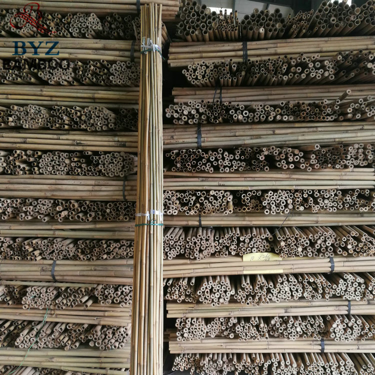 Cheap Tonkin Tsinglee Cane Natural Large Bamboo Poles