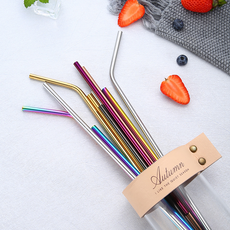 Stainless Steel Rainbow Colored Metal Straws for Drinking