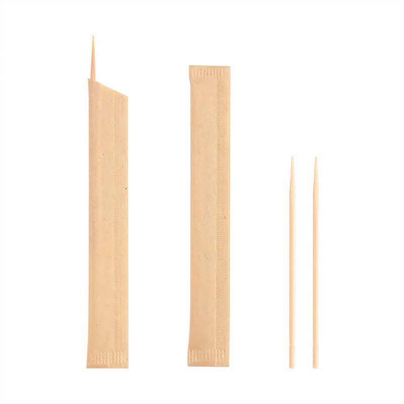 Individually Packaged Disposable Toothpicks/Boxed Toothpicks