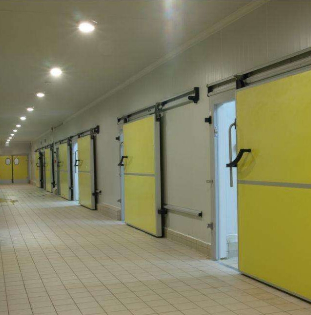 Online One-on-One Solution Warehouse Steel Structure Building Prefabricated Cold Storage