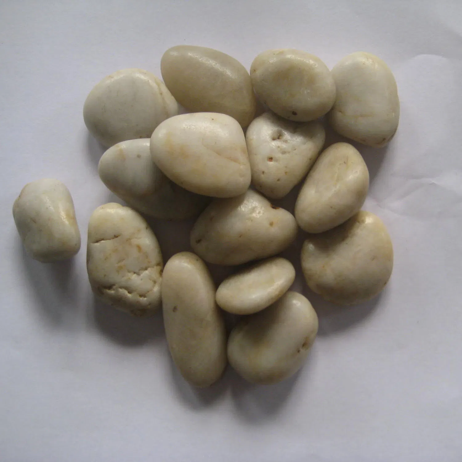 Decoration White Pebble Stone Graphic Design Modern Natural for Garden Size on Mesh Landscaping