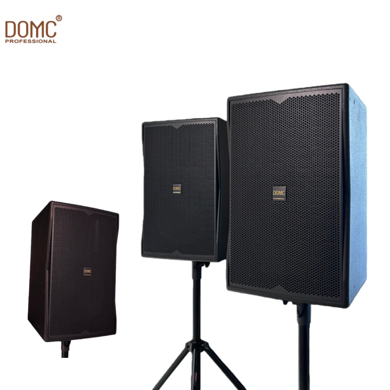 Versatile Domc K210 10-Inch Speaker with 1200W Peak Capability