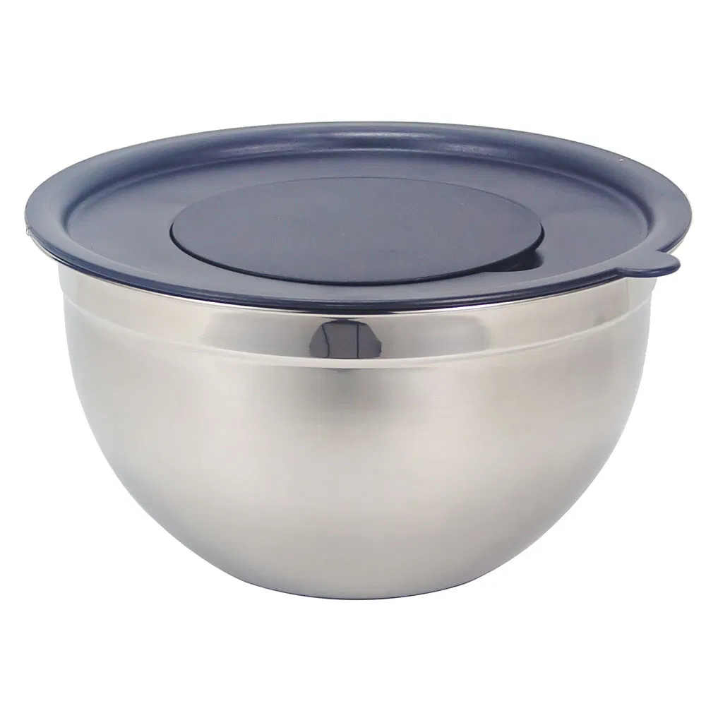 Stainless Steel Salad Mixing Bowl (basin, pot, with plastic nested lid)