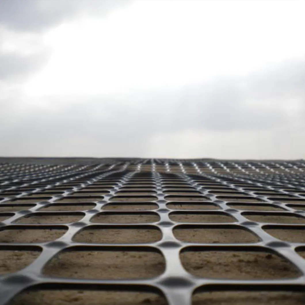Uniaxial Geogrid PP for Building High Way or Railway
