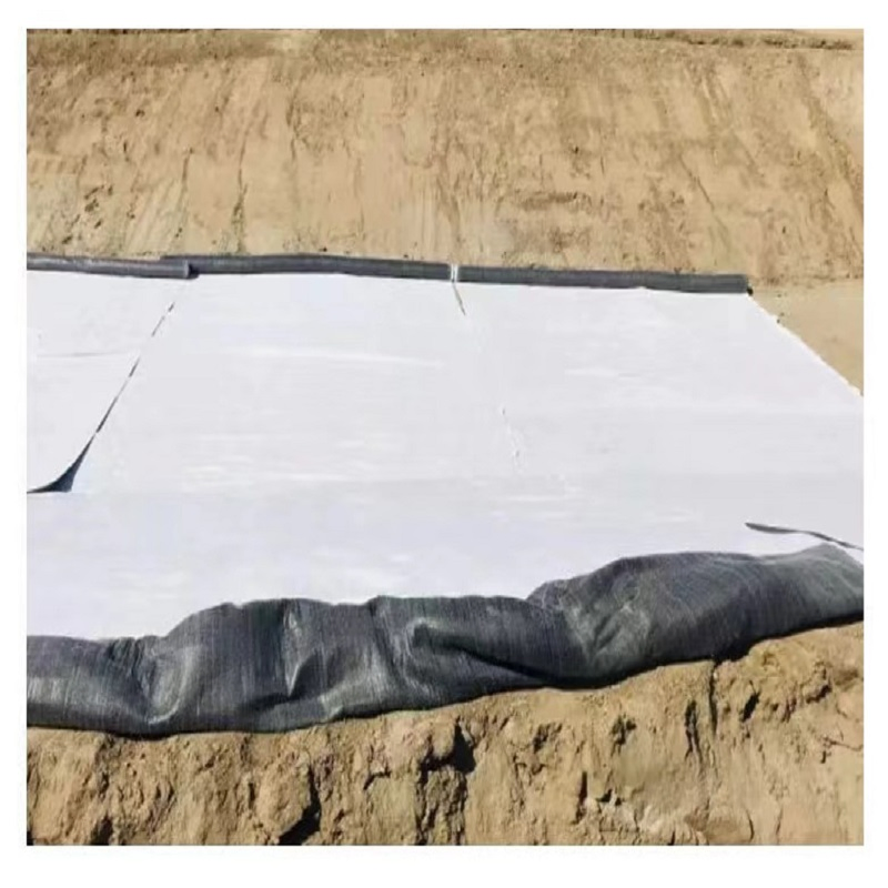 Premium Geosynthetic Clay Liner for Agricultural Protection and Filtration Systems