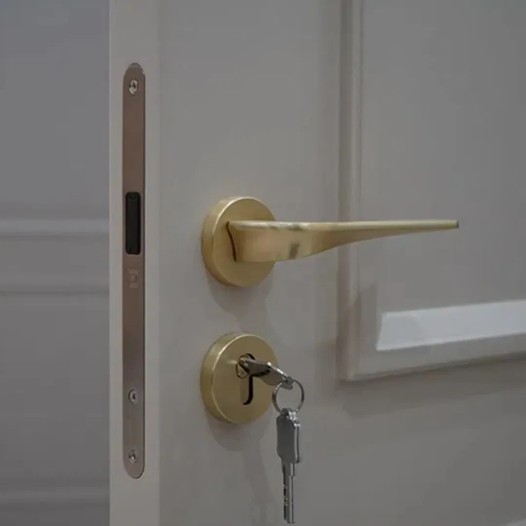 Minimalist Other Aluminium Easy-Install Internal Wood Door for Apartment Entry