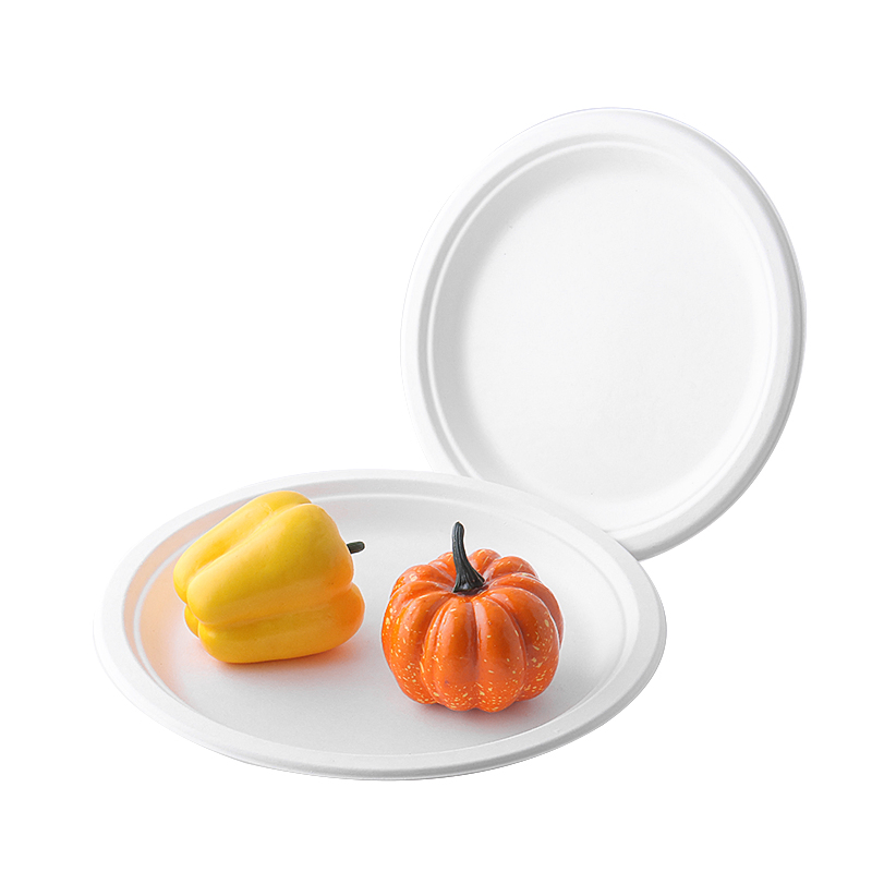 Овальная тарелка из багассы, биоразлагаемая