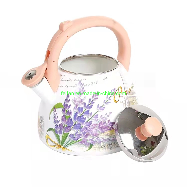 Enamel Whistling Kettle with Different Decal