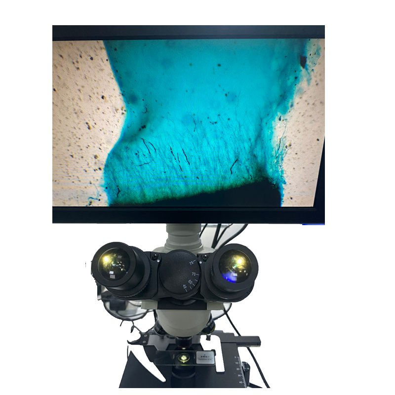 Small 11.6 Inch LCD Display Suitable for Monocular Microscope