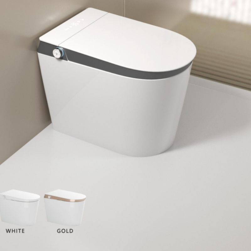 Minimally Customized Best-Selling Fashionable Ceramic Intelligent Toilet