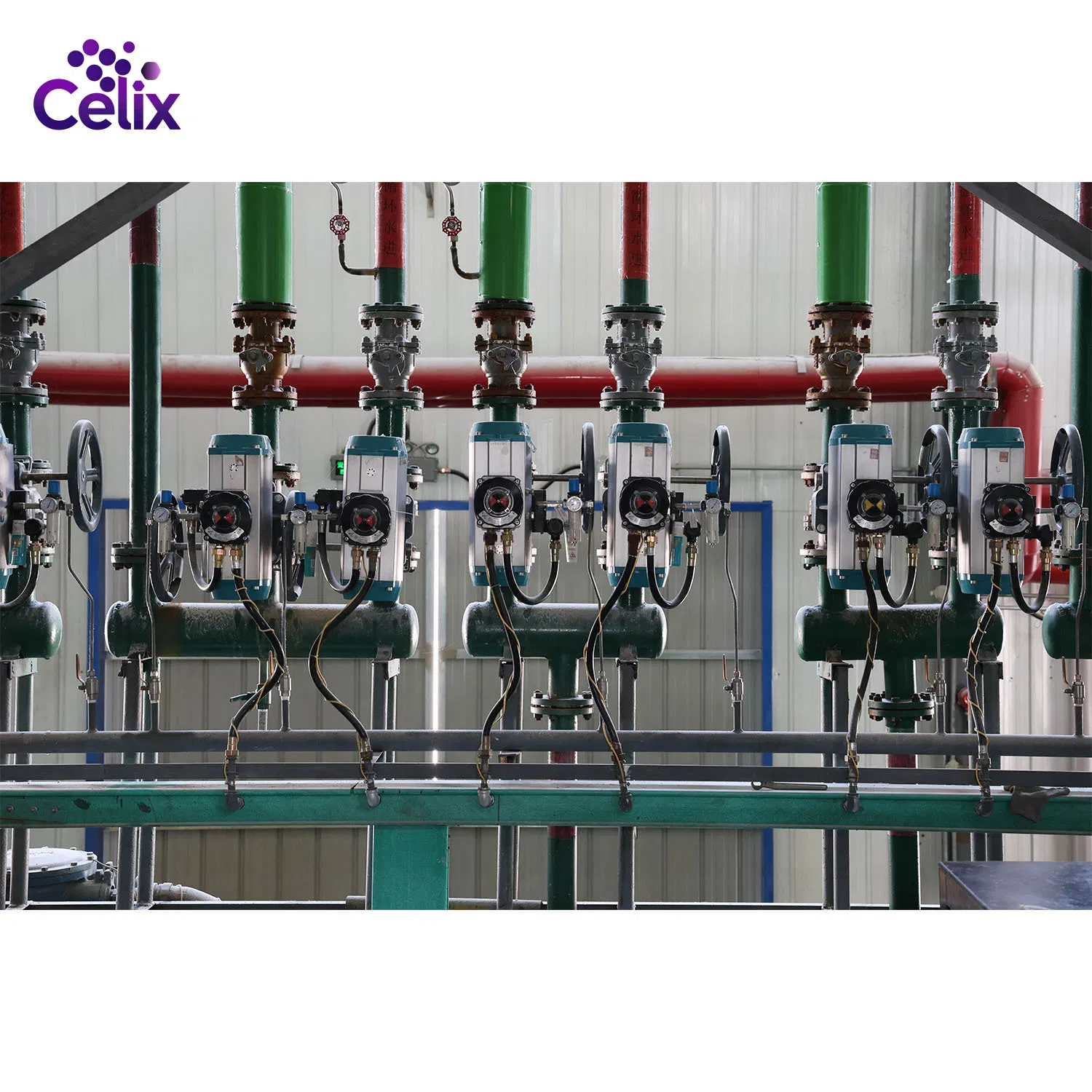 Celix High Quality Competitive Price Feed Additive Calcium Formate 98%