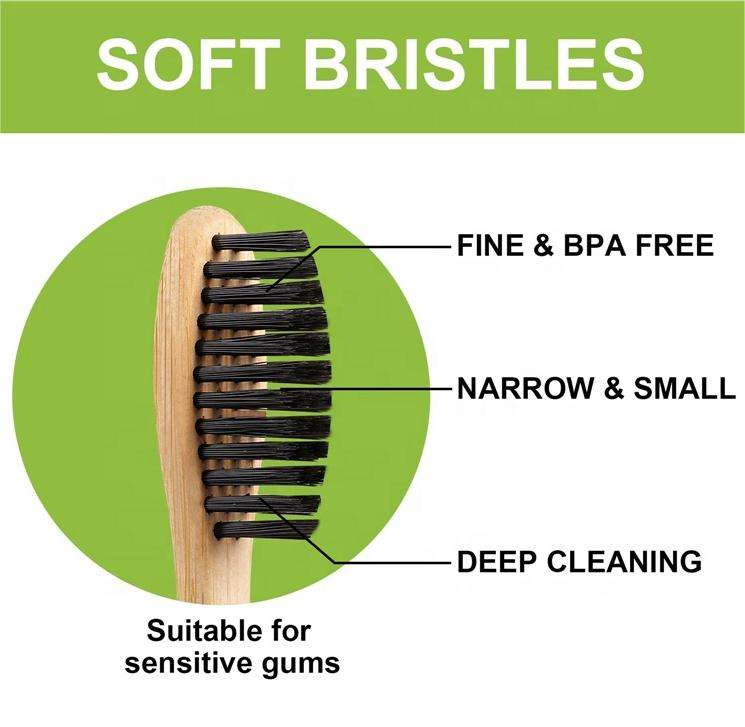 Free Sample Custom Biodegradable Eco-Friendly Bisphenol a Free Soft Bamboo Wood Toothbrush Charcoal Bamboo Made Human Toothbrush