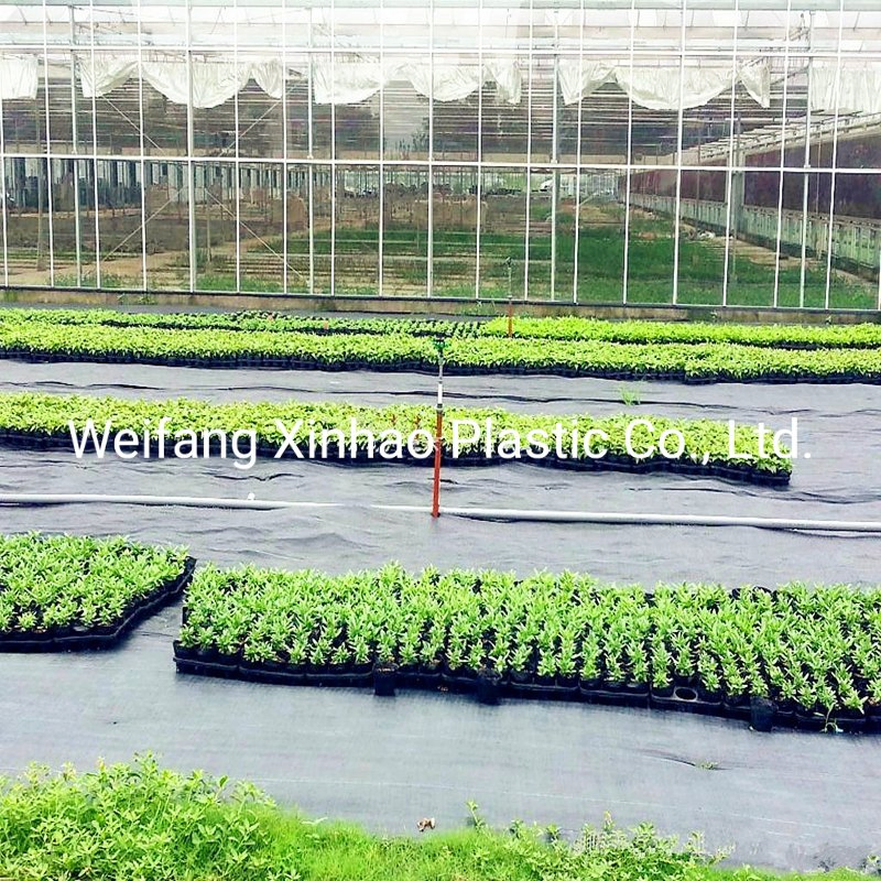Anti Weed Cloth Anti Weed Mat Barrier, Black Green PP Woven Weed Barrier for Agriculture Garden Use