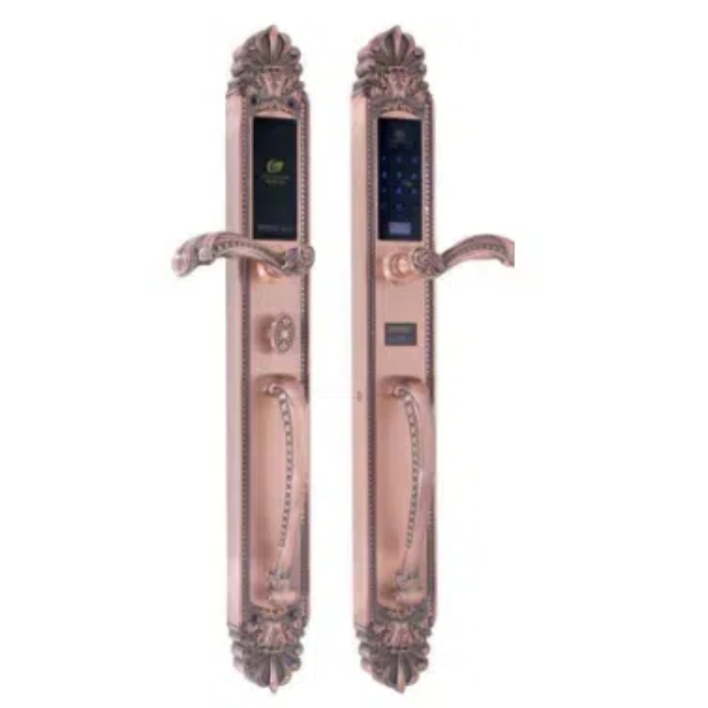 Luxury Brass Fingerprint Passward Door Handle Digital Lock