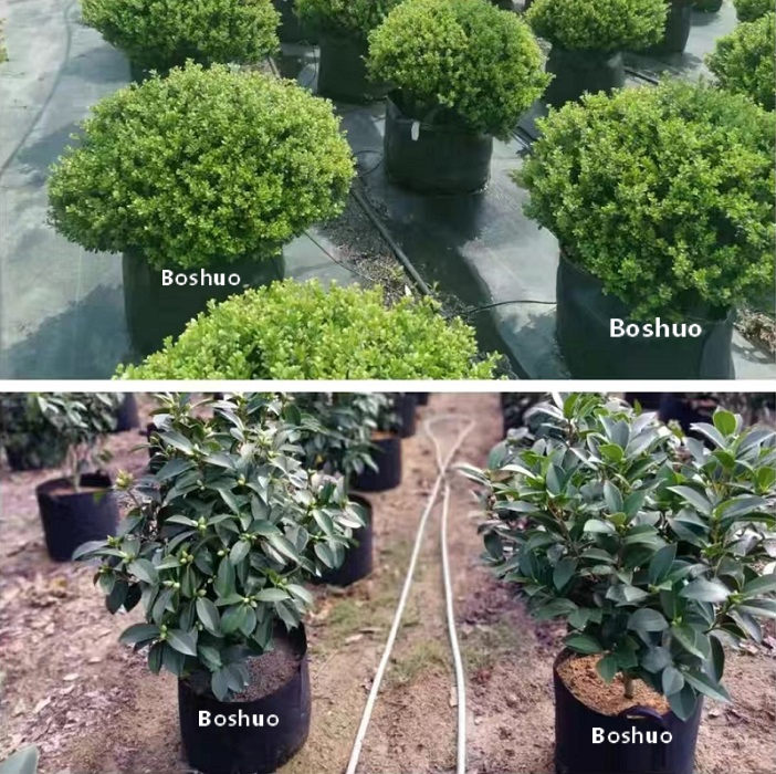 Grow Bag 1 2 3 5 7 10 20 30 Gallon Geotextile Fabric Felt Garden Bag Blueberry Nursery Plant Tree Potato Tomato Vegetable Fig Planter Cultivation Bag 40L 35L