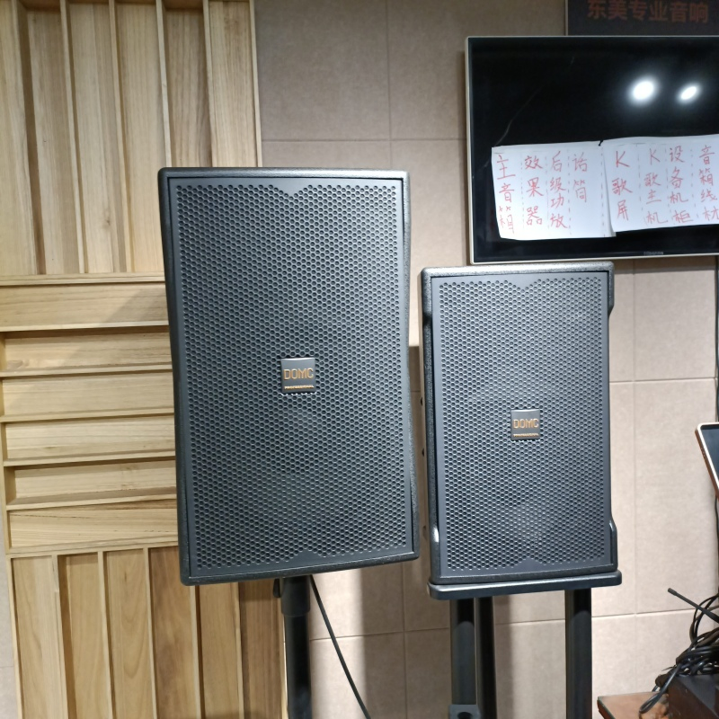 Studiopro K210 10-Inch Speaker System for Precise Monitoring