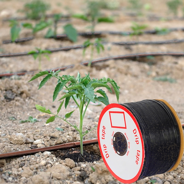 Agricultural Drip Irrigation Tape /Drip Hose Plastic Tubes 1000m 3000m Irrigation Hose Drip Tape/Drip Irrigation Tape for Farm Garden Watering System