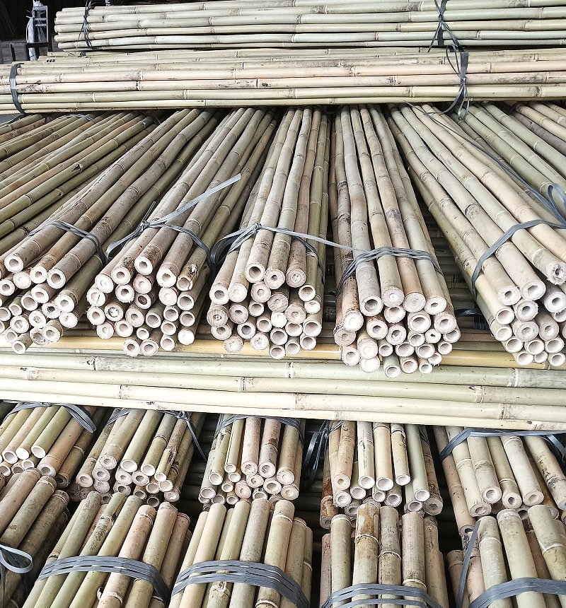 The Best Quality Bamboo Poles From China