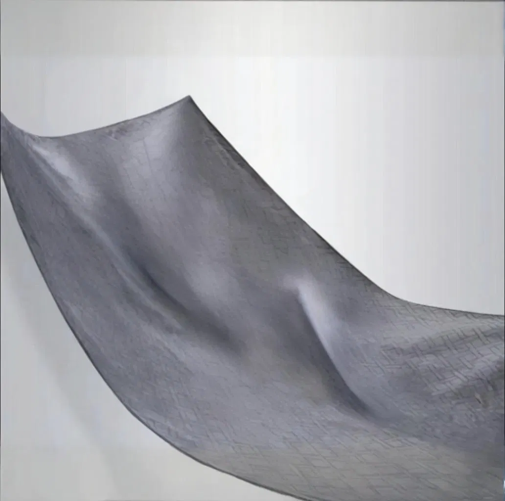 OEM Soft Fleece Dual Control Electric Blanket Heated Throw for Home Use