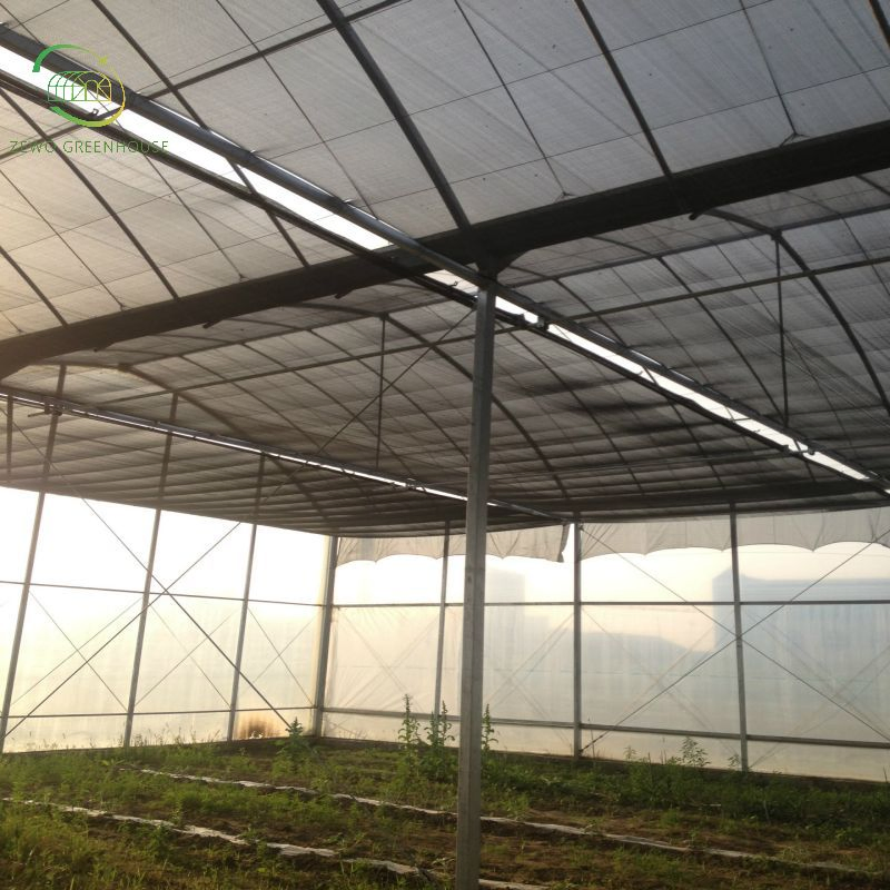 High Quality Interior Aluminum Foil Sun Shading Net Screen for Agricultural Greenhouse