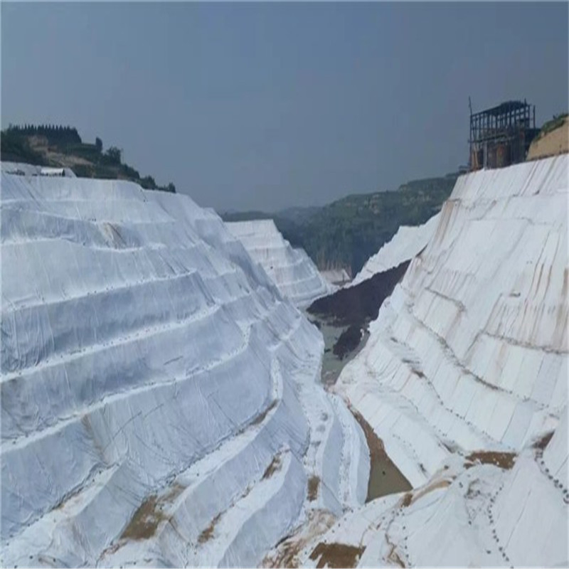 High Quality PP/Polyester Staple Fiber Geotextile