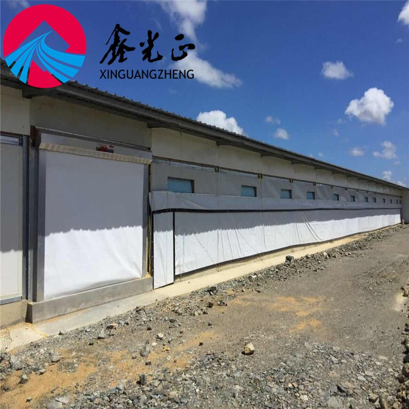 Low Cost Modern Steel Structure Prefab Poultry Farming Shed Building Egg Chicken Farm House