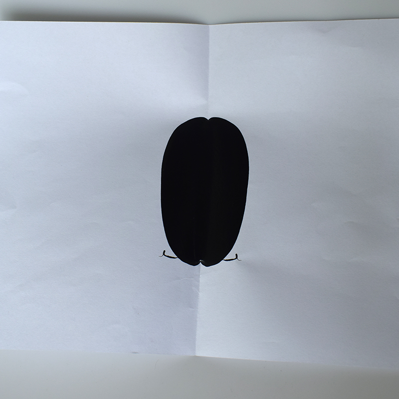 OEM China Factory Neutral High Temperature Resistance Fireproof Silicone Sealant