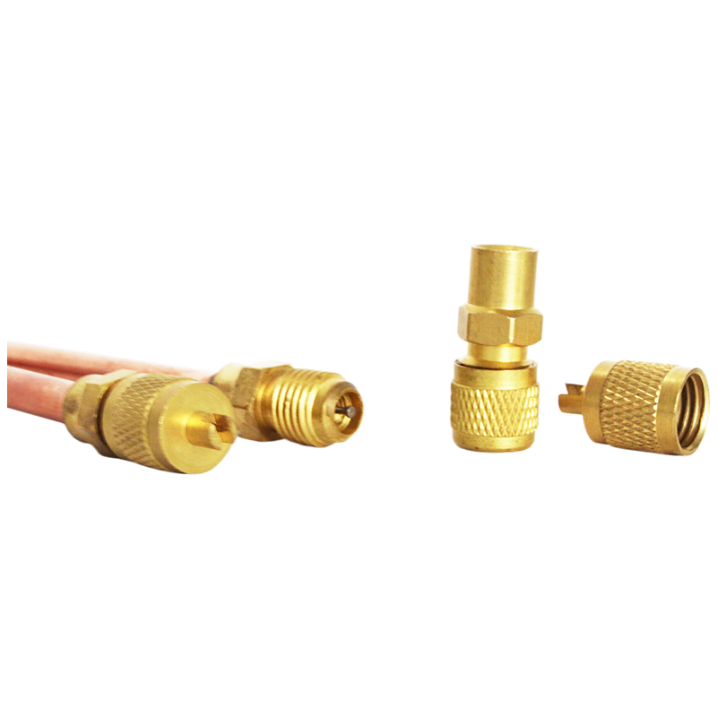 Good Quality Charging Valve Access Valve (AV-03)