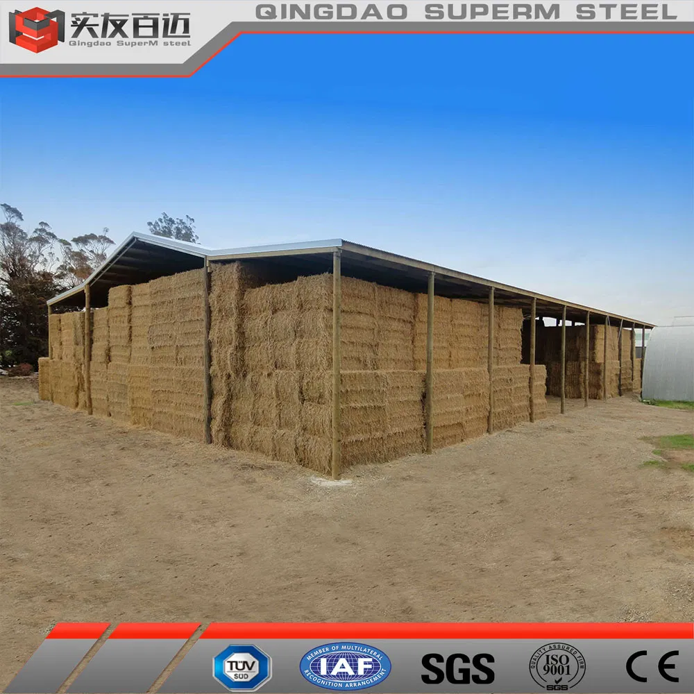 Cheap Prefabricated Steel Structure Building Metal Frame Storage Sheds