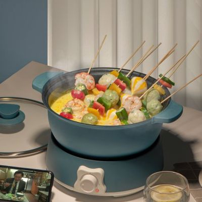 Electric Travel Cooker with Frying Pan 26cm Deep Pot and Grill Pan