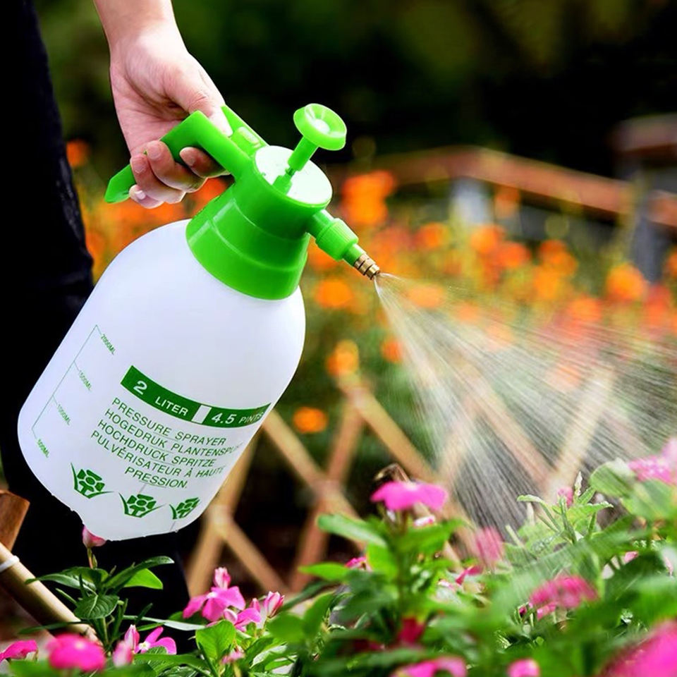 Rainmaker 2L Agriculture Plastic Portable Hand Held Air Pressure Sprayer