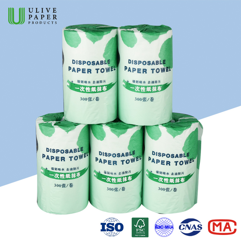 Paper Wipes Disposable Washable Multi Purposes Kitchen Wipe Paper Roll Towel