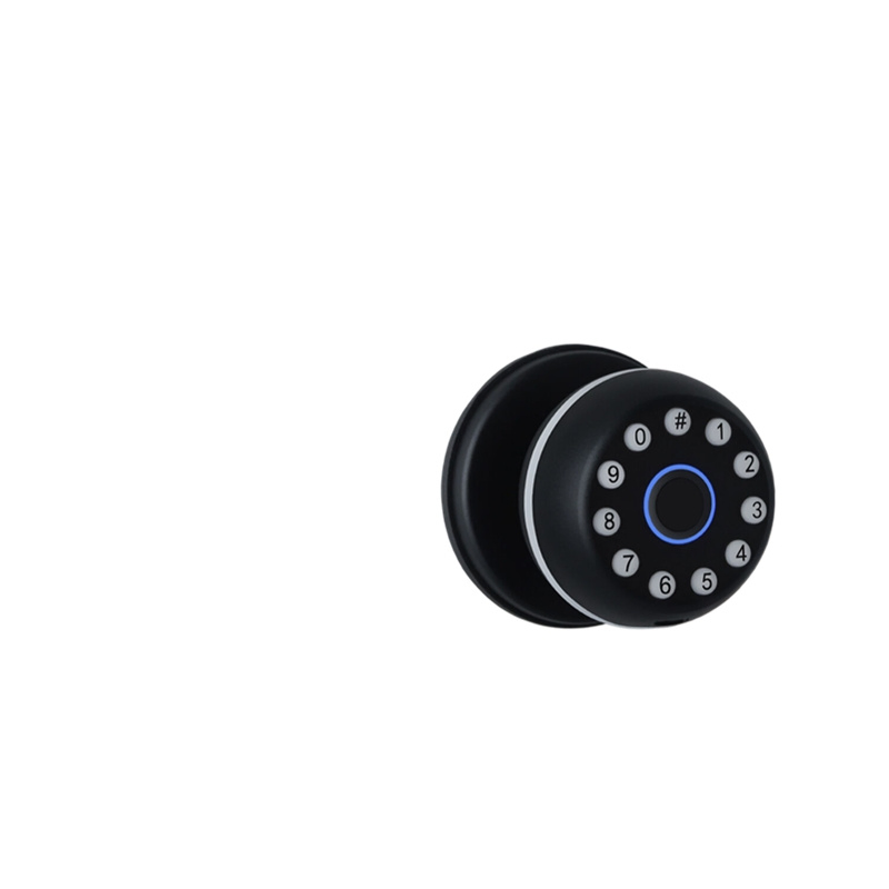 Patented Hidden Biometric CS8 Anti-Spoofing Smart Lock