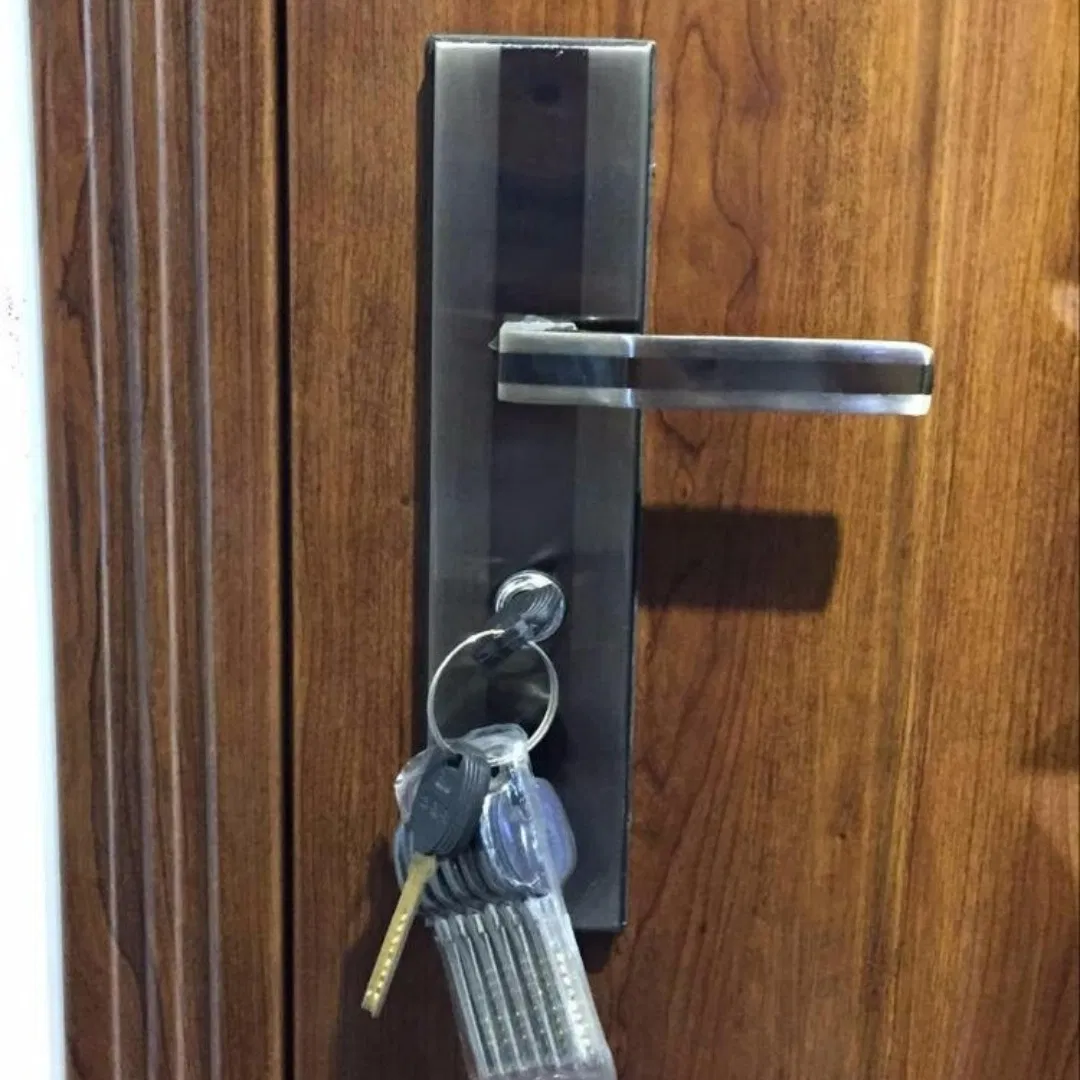 Durable Fire Resistant Core Metal Flush Door Fire Rated Door for Residential Apartments