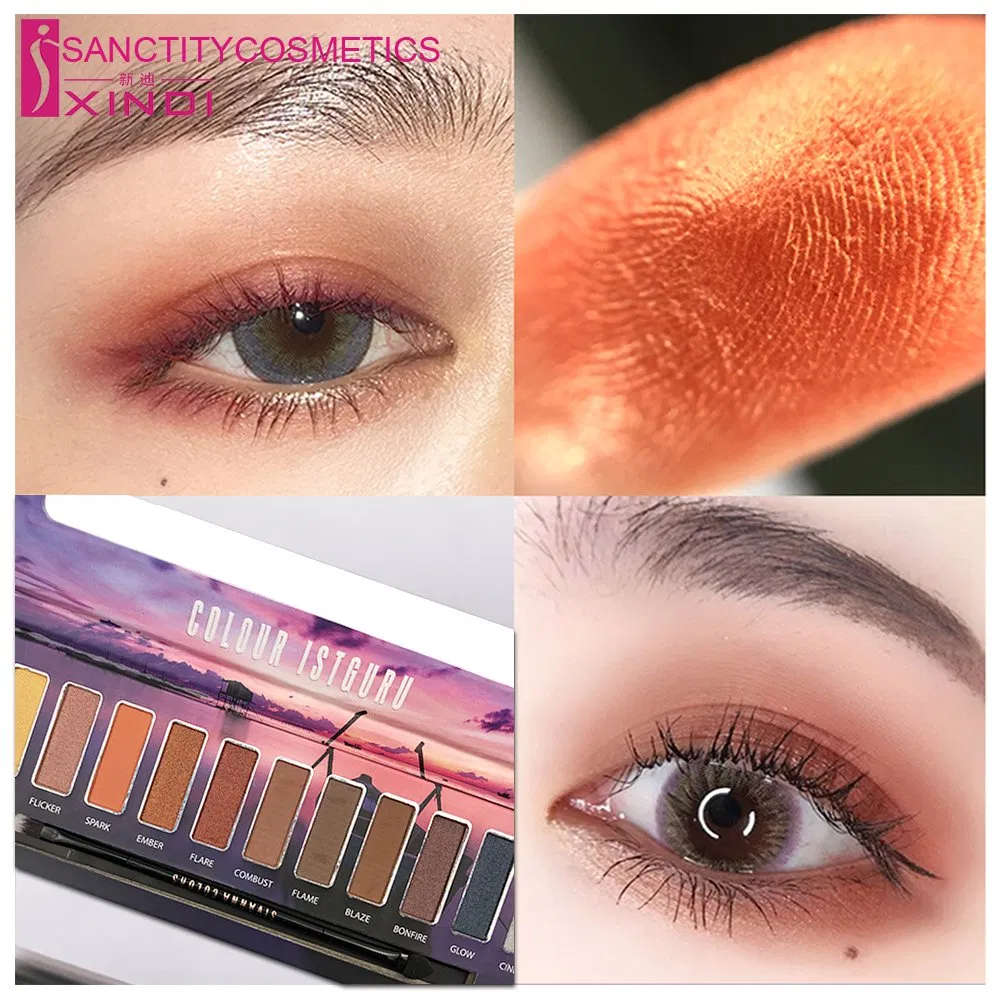 Eye Shadow High Pigment 12 Colors Eyeshadow in Paper Box