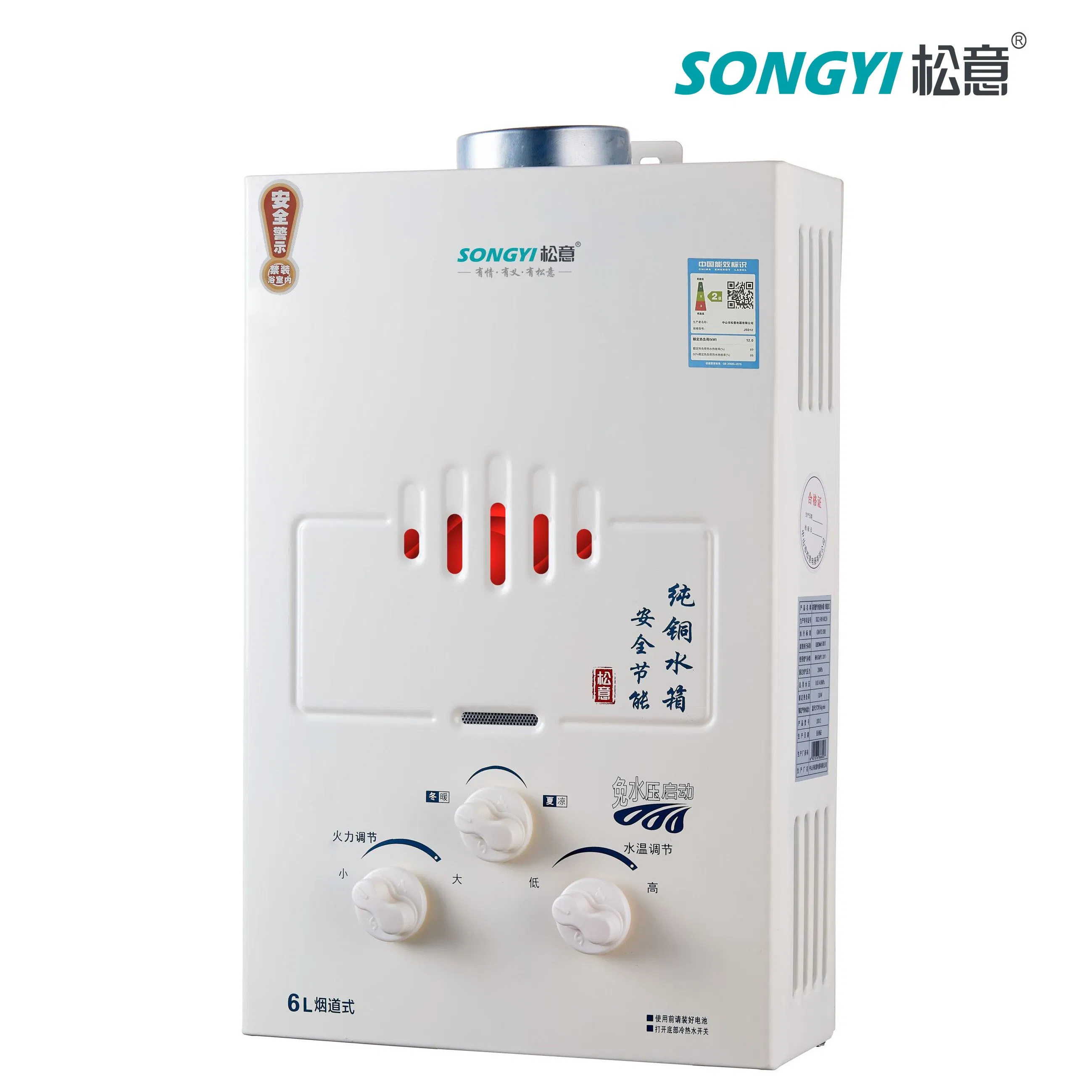 Indoor Flue Type Gas Water Heater Safety and Convenient for Residential Home Applications